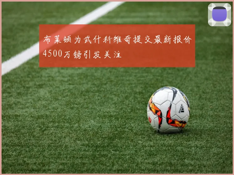 布莱顿为武什科维奇提交最新报价4500万镑引发关注